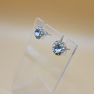 Sparkling Blue Crystal Stud Earrings